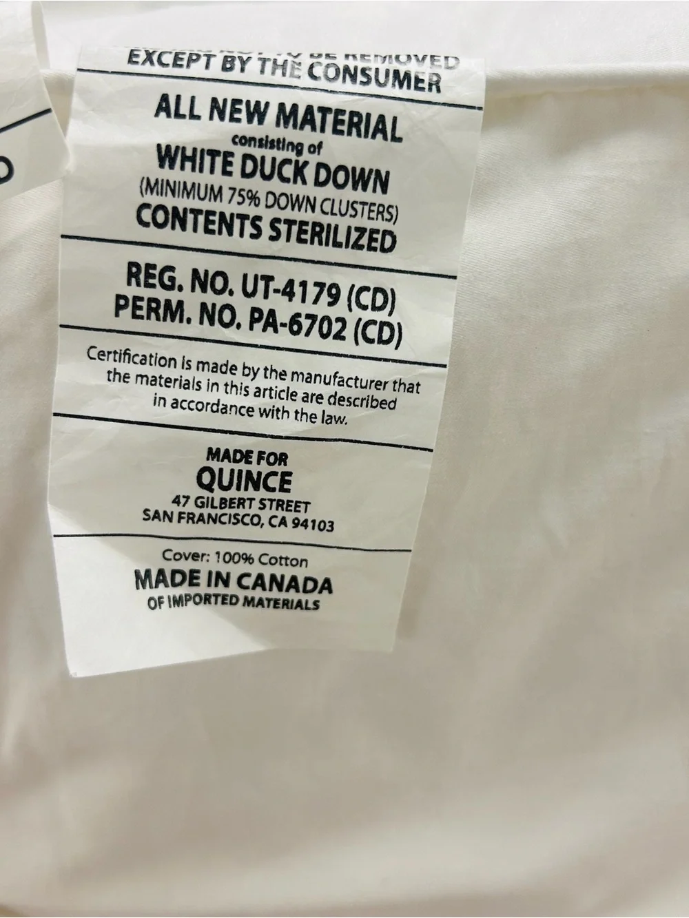 QUINCE Premium Down Pillow Standard Medium 4214
